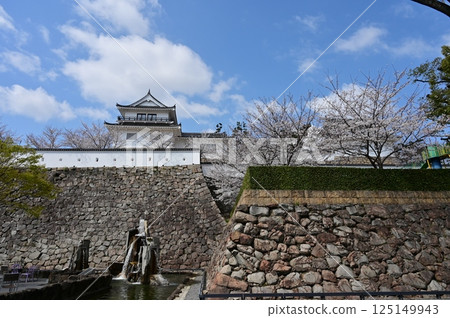 Fukuyama Castle's Tsukimi Tower and cherry blossoms Fukuyama Castle's Tsukimi Tower and cherry blossoms 125149943