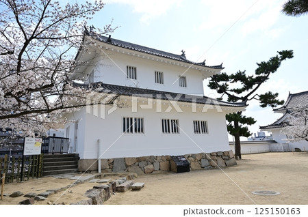 福山城內的鏡樓與染井吉野櫻 125150163