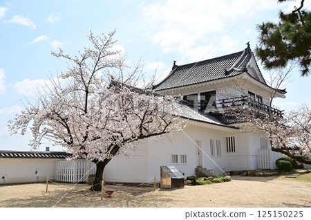 Tsukimi Tower and Somei-Yoshino cherry blossoms inside the castle (Fukuyama Castle) Tsukimi Tower and Somei-Yoshino cherry blossoms inside the castle (Fukuyama Castle) 125150225