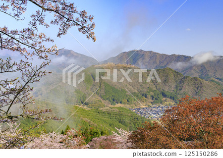 Takeda Castle ruins in the sea of clouds as seen from Tateunkyo Gorge with cherry blossoms in full bloom Takeda Castle ruins in the sea of clouds as seen from Tateunkyo Gorge with cherry blossoms in full bloom 125150286