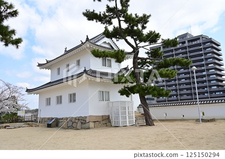 福山城內的鏡樓與染井吉野櫻 125150294