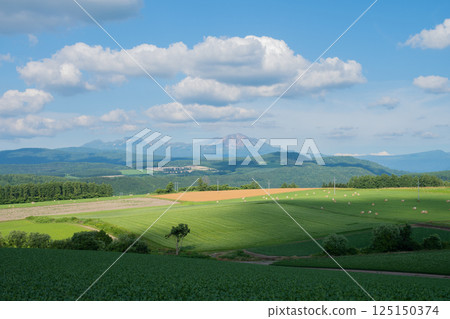 Summer upland field and mountain range Daisetsuzan 125150374