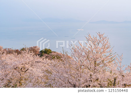 The magnificent view of Mt. Shiude The magnificent view of Mt. Shiude 125150448