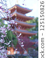 Five-story pagoda and weeping cherry blossoms at Tochoji Temple in Fukuoka 125150826