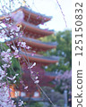 Five-story pagoda and weeping cherry blossoms at Tochoji Temple in Fukuoka 125150832