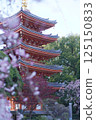 Five-story pagoda and weeping cherry blossoms at Tochoji Temple in Fukuoka 125150833