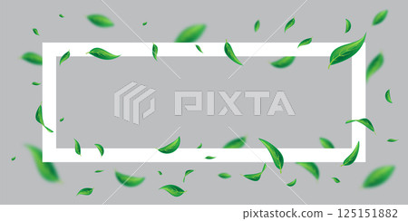 Vector foliage floating ornament. Vegan, eco, organic design frame. Leaf falling. Cosmetic pattern border. Fresh tea background. Beauty natural product. Green flying leaf dancing Vector foliage floating ornament. Vegan, eco, organic design frame. Leaf falling. Cosmetic pattern border. Fresh tea background. Beauty natural product. Green flying leaf dancing 125151882