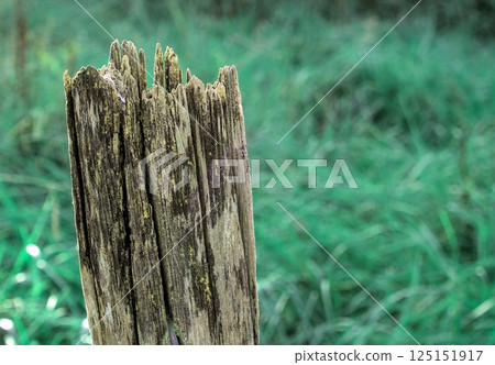 eroded post eroded post 125151917