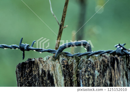 wet barbed wire on a post 125152010