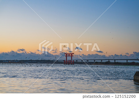 濱松市（靜岡縣）日出前弁天島紅色鳥居的景色 125152200