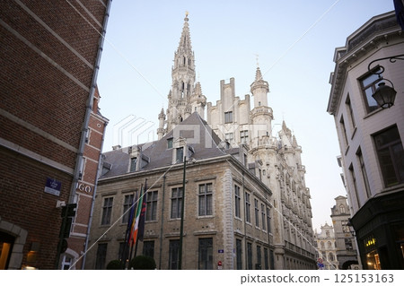 Ornate Gothic Spires Above Historic Building in Brussels 125153163