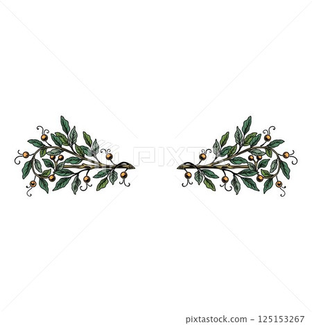 Vintage floral calligraphic floral vignette scroll corners ornamental design elements set isolated illustration 125153267