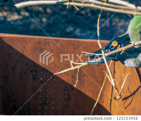 Close-up of a farmer's hand in a green work glove using pruner. A gardener trims dead tree branches in the fall and spring using pruning shears to prune trees and bushes. 125153458