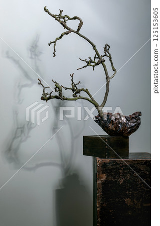 Twisted Bonsai Art On Wooden Pedestal 125153605