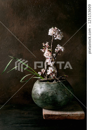 Cherry Blossom Branch in Ceramic Pot Cherry Blossom Branch in Ceramic Pot 125153609