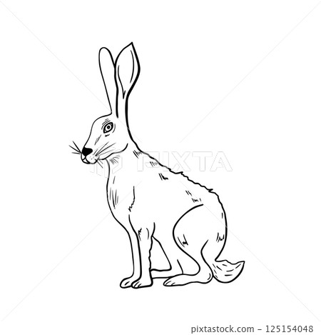 Wild hare sit hand drawn black white vector illustration. Forest animal graphic artwork for winter and Christmas design. Woodland animal for seasonal packaging, stationery. Rabbit outline drawing. 125154048