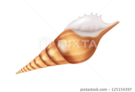 Realistic Illustration of Spiraled Sea Shell 125154397