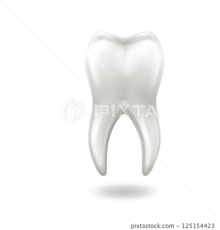 Illustration of a Shiny Healthy Tooth on White 125154423