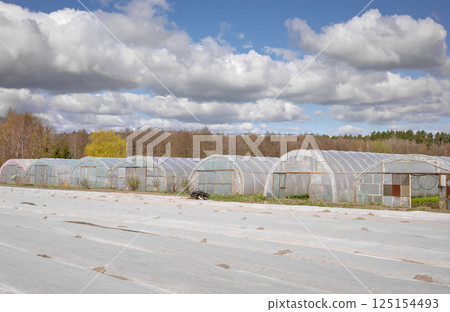 Organic farm with polytunnels and agrotextile covering vegetable beds. Organic farm with polytunnels and agrotextile covering vegetable beds. 125154493