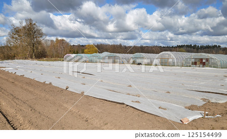 Organic farm with polytunnels and agrotextile covering vegetable beds. Organic farm with polytunnels and agrotextile covering vegetable beds. 125154499