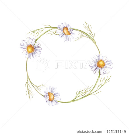 Watercolor round frame of several daisies. White wildflowers. Botanical illustration. Each element is hand-drawn. Summer wedding design, invitations, postcards. 125155149