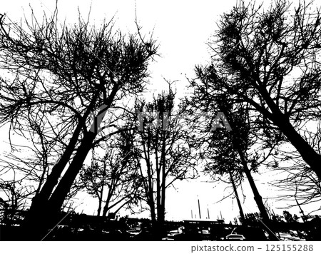 Monochrome silhouette of tree branches. hand drawing. Not AI Vector illustration 125155288