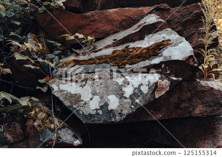 Natural Rock Formation Covered with Moss and Plant Life 125155314