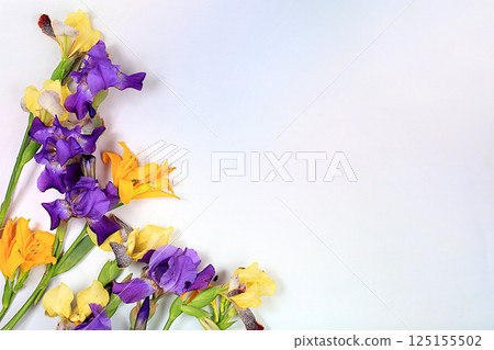 Beautiful spring flowers siberian irises and lilies on light background, banner, abstract floral arrangement, still life with space for text, floral holiday card, summer greeting concept, Beautiful spring flowers siberian irises and lilies on light background, banner, abstract floral arrangement, still life with space for text, floral holiday card, summer greeting concept, 125155502