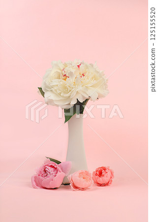 Flower arrangement of bouquet with fresh white peony flowers in vase,template for design and product display,natural still life for banner.Spring floral card 125155520