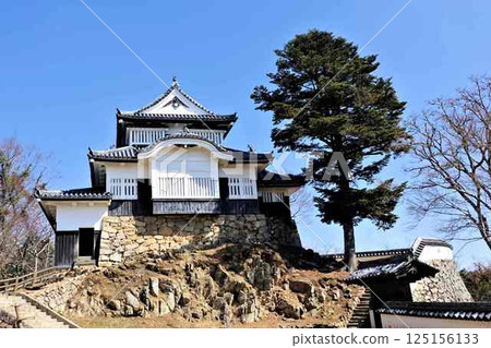 The castle tower from the Ninomaru area of Bitchu Matsuyama Castle 125156133
