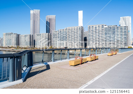 [豐洲大橋]清晨的橋樑與城市景觀 125156441