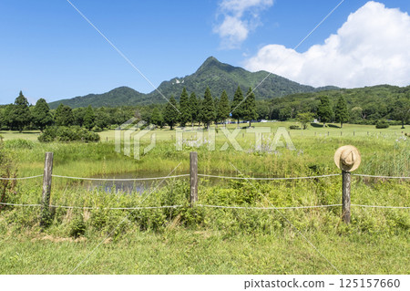 Early summer, fresh greenery, eco-image (Oyama Kyoganari) Early summer, fresh greenery, eco-image (Oyama Kyoganari) 125157660