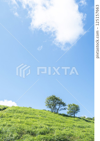 初夏、新綠、生態形象(大山京都) 初夏、新綠、生態形象(大山京都) 125157663