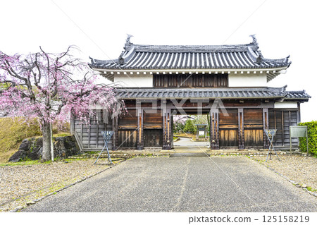 Nishio City Historical Park: Brass Stone Gate Nishio City Historical Park: Brass Stone Gate 125158219
