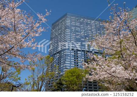 An urban building with fresh greenery and cherry blossoms in full bloom 125158252
