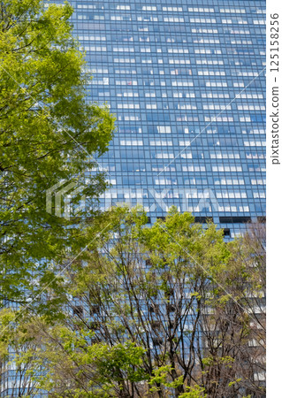 A view of skyscrapers in an office district with fresh greenery 125158256