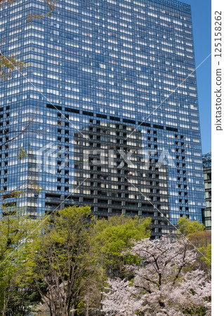 An urban building with fresh greenery and cherry blossoms in full bloom An urban building with fresh greenery and cherry blossoms in full bloom 125158262