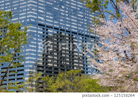 An urban building with fresh greenery and cherry blossoms in full bloom An urban building with fresh greenery and cherry blossoms in full bloom 125158264