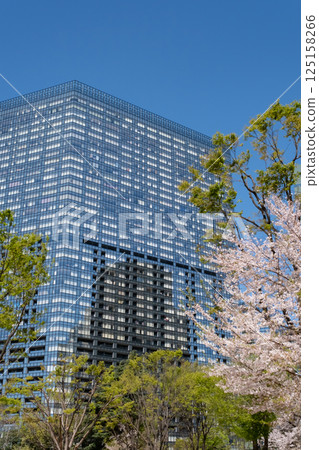 An urban building with fresh greenery and cherry blossoms in full bloom 125158266