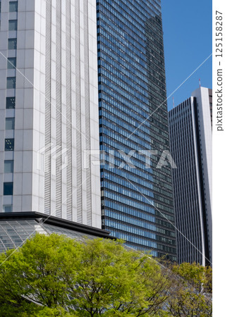 A view of skyscrapers in an office district with fresh greenery 125158287