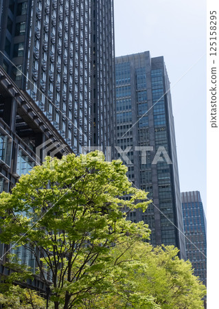 A view of skyscrapers in an office district with fresh greenery 125158295
