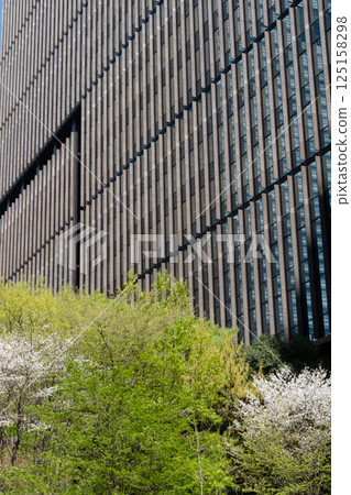 辦公區內摩天大樓林立，綠樹成蔭 125158298