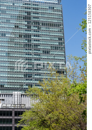 A view of skyscrapers in an office district with fresh greenery 125158307