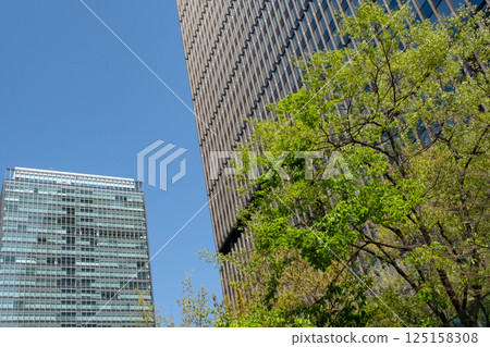 辦公區內摩天大樓林立,綠樹成蔭 辦公區內摩天大樓林立,綠樹成蔭 125158308