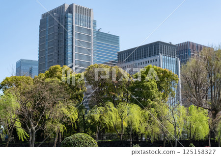 A view of skyscrapers in an office district with fresh greenery 125158327