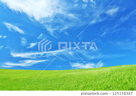 秋天的藍天和美麗的草原風光 125158387