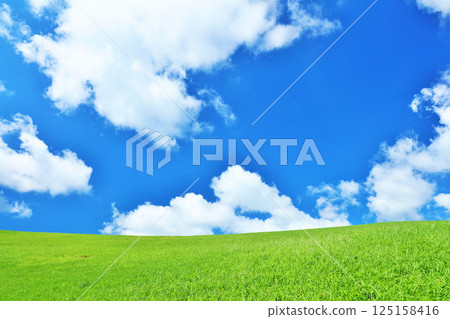 Refreshing summer blue sky and fresh green meadow landscape 125158416