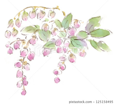 春天的植物，掛在鐘上的可愛粉紅色花朵，紅花杜鵑花的水彩畫 125158495