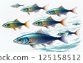 游泳魚 125158512