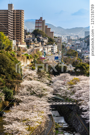 西山水壩下游公園的櫻花[長崎市] 125158789
